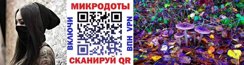 Галлюциногенные грибы MAGIC MUSHROOMS  Купить где  Моршанск 